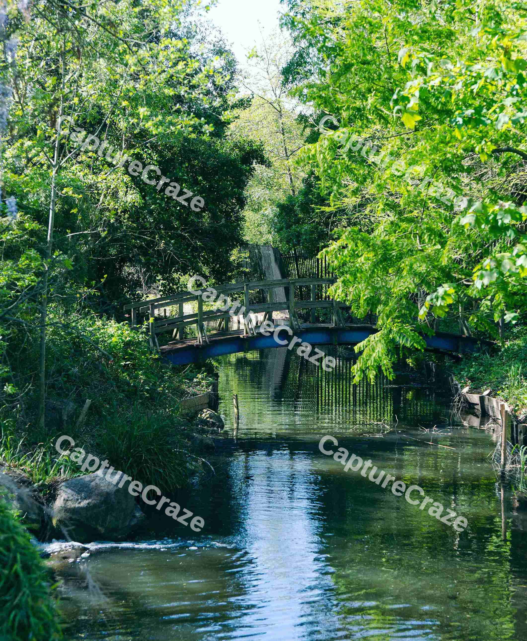 Canal In The Summer